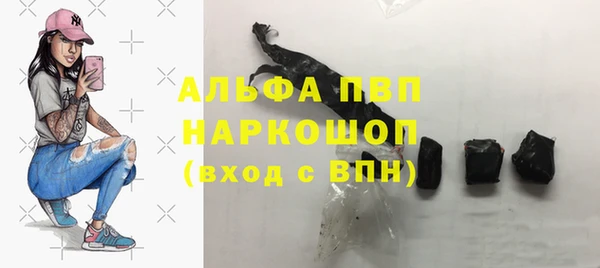 СК Алексин