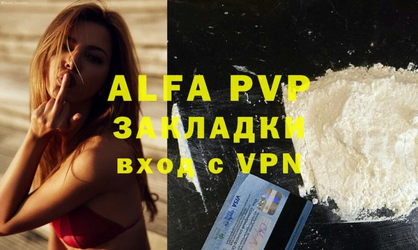 PSILOCYBIN Аркадак